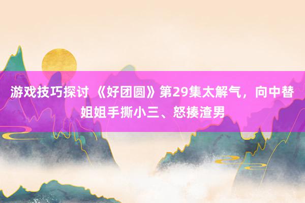 游戏技巧探讨 《好团圆》第29集太解气，向中替姐姐手撕小三、怒揍渣男