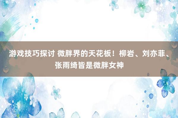 游戏技巧探讨 微胖界的天花板！柳岩、刘亦菲、张雨绮皆是微胖女神