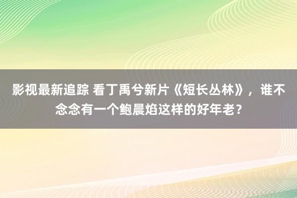 影视最新追踪 看丁禹兮新片《短长丛林》，谁不念念有一个鲍晨焰这样的好年老？