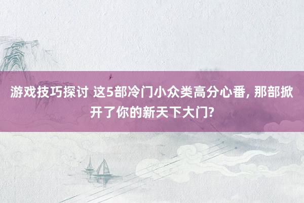 游戏技巧探讨 这5部冷门小众类高分心番, 那部掀开了你的新天下大门?